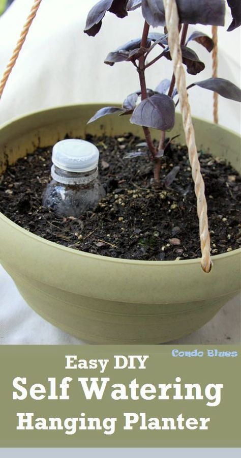 A quick and easy step by step tutorial how to make a DIY self watering hanging herb garden or flower pot. A small space garden solution! Diy Self Watering, Diy Self Watering Planter, Small Space Garden, Hanging Herb Gardens, Indoor Herb Garden Diy, Small Flower Gardens, Self Watering Containers, Hanging Herb Garden, Space Garden