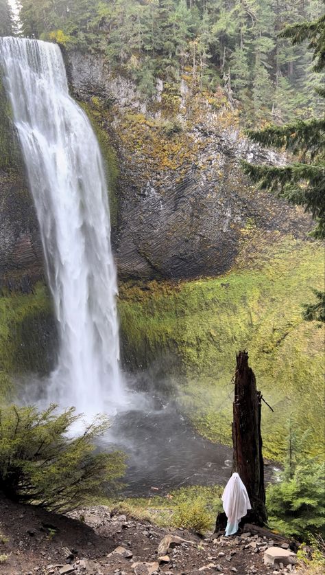 A distant view of a ghost, standing by a broken tree in front of a waterfall. Location salt creek falls Oregon Souls Journey, Lost Souls, Lost Soul, Find Peace, Finding Peace, Oregon, Salt, Lost, Water