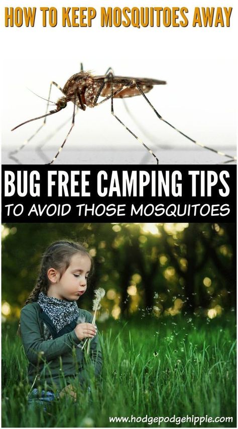 Keep those bugs and mosquitos away on your next camping adventure! These tips can help keep those pesky insects away from you and your campground! #bugfree #camping #natural #mosquitos Games To Play Outside, What To Take Camping, Camping In A Tent, Group Camping, Camping Site, Natural Repellent, Camping Summer, Camping Vacation, Camping Family