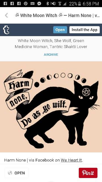 Witch Cat Familiar, Witch Fairy, Fantasy Witch, Pagan Rituals, Night Stars, Medicine Woman, Moon Witch, Spell Books, Witchcraft Spell Books