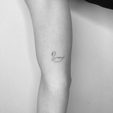 Swan Tattoo For Couples, Small Swan Tattoo Simple, Minimal Swan Tattoo, Swan Tattoos For Women, Mini Swan Tattoo, Swan Line Tattoo, Swan Fine Line Tattoo, Swan Tattoo Aesthetic, Minimalist Swan Tattoo