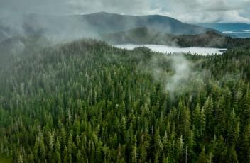 Tongass National Forest faces Roadless Rule rollback Tongass National Forest, Travel Noire, Temperate Rainforest, Breathtaking Places, Ancient Forest, Indigenous Community, Forest Service, Black Travel, Green Books