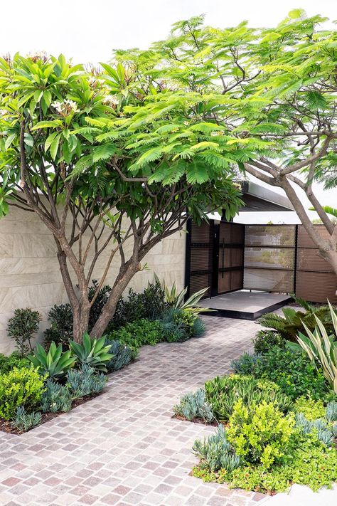 Moderne Have, Small Courtyard Gardens, Courtyard Gardens Design, Have Inspiration, Backyard Garden Design, Beautiful Backyards, Small Garden Design, Courtyard Garden, Decor Minimalist