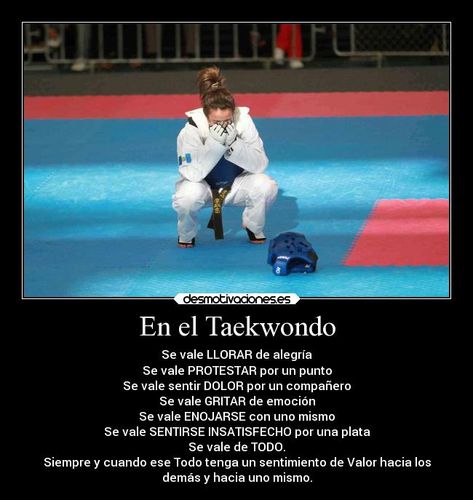 Imágenes y Carteles de TAEKWONDO Pag. 16 | Desmotivaciones Taekwondo Moves, Tkd Taekwondo, Taekwondo Girl, Tang Soo Do, Animal Education, Education Humor, Aikido, Tai Chi, Muay Thai