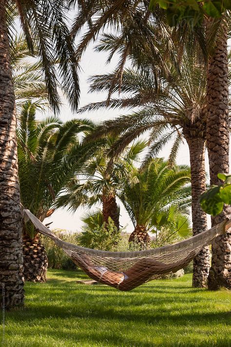 Palm Tree Hammock, Hammock Garden, Hammock Ideas, Plush Lounge Chair, Family Vision, Fern Garden, Tropical Islands Paradise, Woman Relaxing, Sanctum Sanctorum