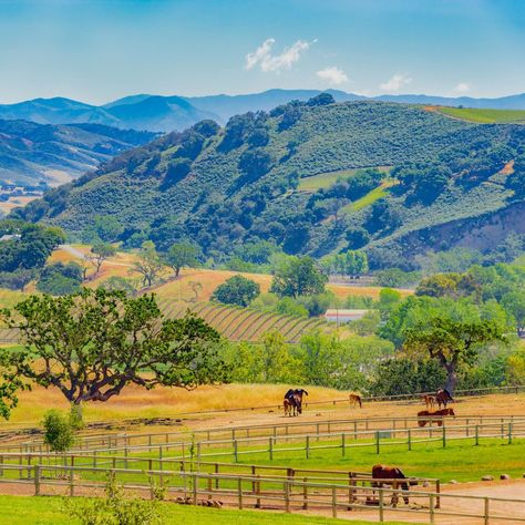 California Farm, Beautiful California, California Living, California Landscape, Visit California, Beach Lover, Beach Lovers, Golden State, Country Living