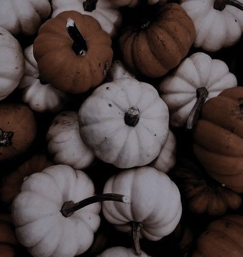 Beige Halloween Aesthetic, Black And White Fall Aesthetic, Basic Aesthetics, Storm Weather, Fall Mood Board, Hogwarts Aesthetic, Over The Garden Wall, Halloween Wallpaper Iphone, Halloween Aesthetic