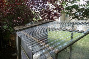 Clear corrugated polycarbonate roofing panels would be awesome for the kids' playhouse. Let's the sunshine in and also would be neat during rain storms or cloudless starry nights. Corrugated Plastic Roofing, Garden Shed Interiors, Plastic Roofing, Rustic Pergola, Steel Pergola, Backyard Swings, Backyard Porch, Pergola With Roof, Patio Roof