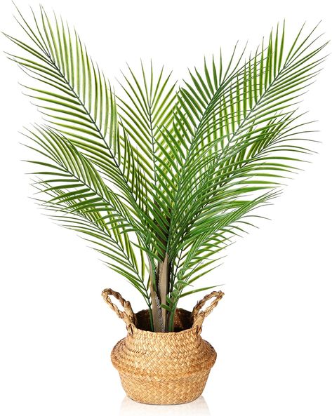 Kazeila Large Artificial Plants in Pot 80cm Artificial Palm Tree with Woven Seagrass Belly Basket Fake Plants Faux Plant Indoors Areca Palm Tree for Home Living Room Decor(1 Pack) Palm Tree Indoor, Large Artificial Plants, Belly Basket, Quirky Decor, Floor Plants, Tropical Tree, Artificial Leaf, Rose Arrangements, Plant Basket