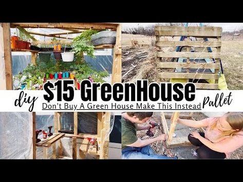 Pallet GreenHouse|$15 Easy GreenHouse|Beginner Green House|DIY - YouTube Greenhouse Beginner, Greenhouse Diy Cheap, Pallet Greenhouse Diy, Diy Greenhouse Cheap Easy, Green House Diy, Easy Greenhouse, Pallet Greenhouse, Buy Greenhouse, Cheap Greenhouse