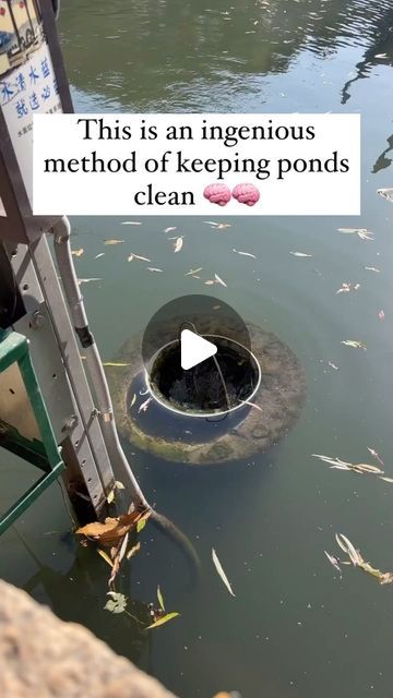 THE REGROWTH PROJECT on Instagram: "Simply had to share this ingenious method of keeping ponds clean. I clean a bag of trash daily but if we had these everywhere I might just be out of business - seamless how it just collects the garbage over time and gets the job done. Excellent stuff, 5/5, might have to get into the installation game with these bad boys." Pond Filtration System Diy, Ponds Products, Natural Pond Filtration, Pond Water Microorganisms, Pond Cleaning, Me Clean, Get The Job, Good News, Spirituality