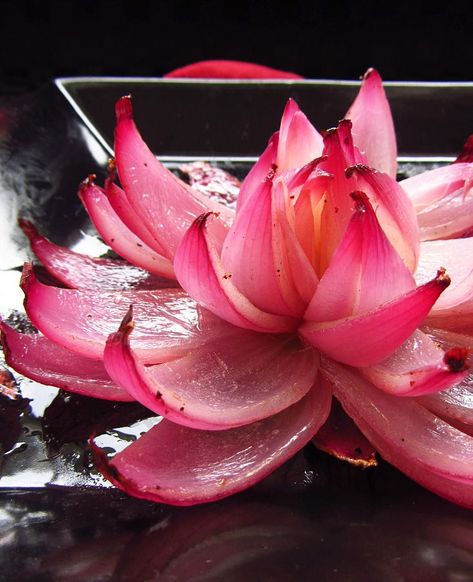 Onion Flower Recipe, Blooming Onion Recipe, Onion Flowers, Blooming Onion Recipes, Flower Recipe, Onion Flower, Blooming Onion, Decorações Com Comidas, Mapo Tofu