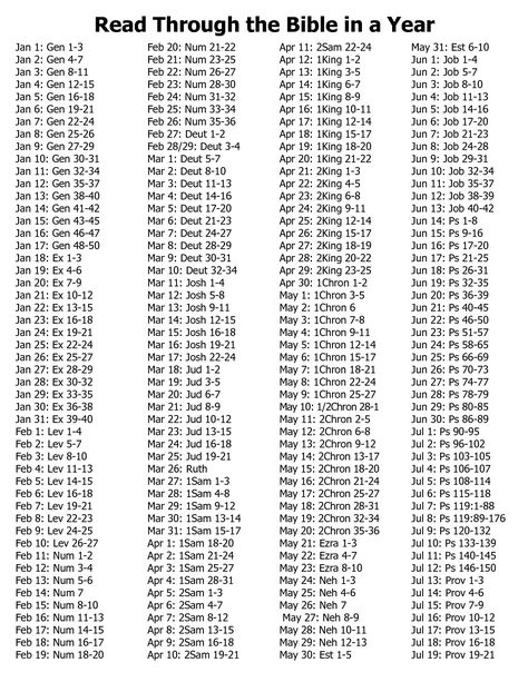 Bible In A Year Plan, One Year Bible Reading Plan, Bible Study Plan, Bible Reading Schedule, Year Bible Reading Plan, Printable Schedule, One Year Bible, Bible Drawing, Bible Reading Plans