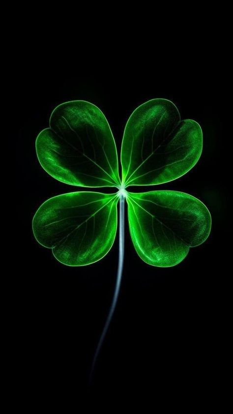 Green Leaf Wallpaper Iphone, Four Leaf Clover Wallpaper, Good Luck Wallpaper, Luck Aesthetic, Luck Wallpaper, Leaves Wallpaper Iphone, Image Zen, Clover Wallpaper, Good Luck Clover