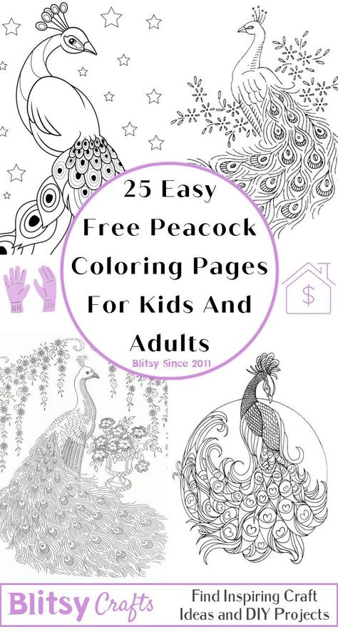 Peacock Printables Free, Peacock Coloring Pages Free Printable, Peacock Outline, Peacock Coloring Pages, Peacock Drawing, Peacock Pictures, Peacock Colors, Color Sheets, Bird Coloring Pages