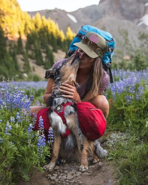 Dog Hiking Photography, Dog In Backpack, Travelling With Dog, Dog Hiking Aesthetic, Backpacking With Dogs, Adventure With Dog, Hiking With Dog, Dog Mom Aesthetic, Dog Hiking Gear