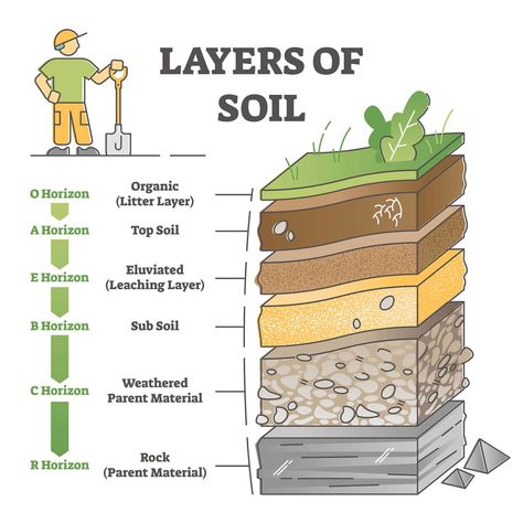 Soil Profile Diagram, Soil Infographic, Soil Profile Model, Soil Diagram, Study Vector, Earth Structure, Soil Profile, Layers Of Soil, Basic Geography