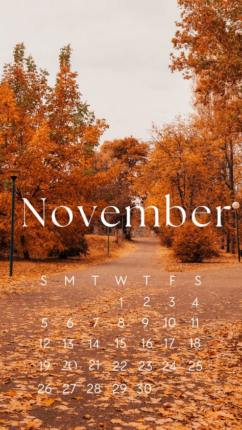 November Wallpaper 2023, November Astethic Wallpaper, November Calendar 2023 Aesthetic, November 2023 Calendar Wallpaper, Hello November Images, November Backgrounds Aesthetic, Hello November Aesthetic, November Screensaver, Hello November Wallpaper