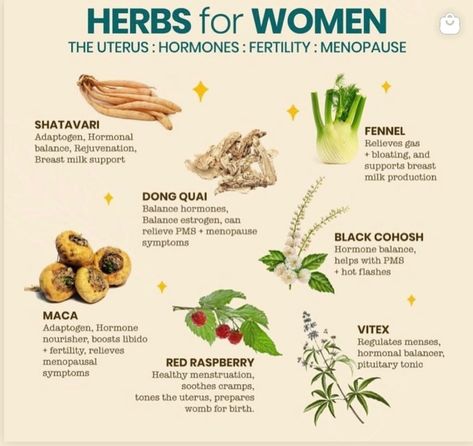 Ladies, do not keep this to yourself, send it to your bestie or repost it for the girlies to see ✨ You can find these and over 200 herbs, tea blends, and holistic products in our store or website (link in bio) . We ship worldwide. #herbalmedicine #mindfulness #alkaline #wholifeco #healthyfood #functionalmedicine #holisticlifestyle #naturopathicmedicine #healingherbs #clinicalherbalist #femmeyogipreneur #herballife #naturalhealth #herbalwellness #herbalcommunity #blackherbalist #medicinalpl... Menaposal Herbs, Mood Boosting Herbs, Medicinal Herbs Remedies, Herbal Education, Medical Herbs, Ayurvedic Healing, Healing Tea, Herbal Healing, Health Skin Care