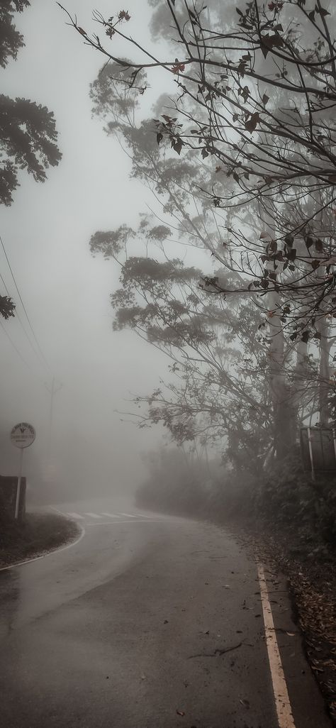 Munnar🥶 Munnar Photography, Summer Nature Photography, Rain Aesthetic, Dark Fall, Munnar, Forest Path, Older Sister, Instagram My Story, Instagram Ideas Photography