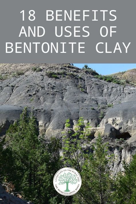 Bentonite Clay Bath, Bentonite Clay Detox, Bentonite Clay Benefits, Aztec Clay, Calcium Bentonite Clay, Bentonite Clay Mask, Bath Benefits, Indian Healing Clay, Healing Clay