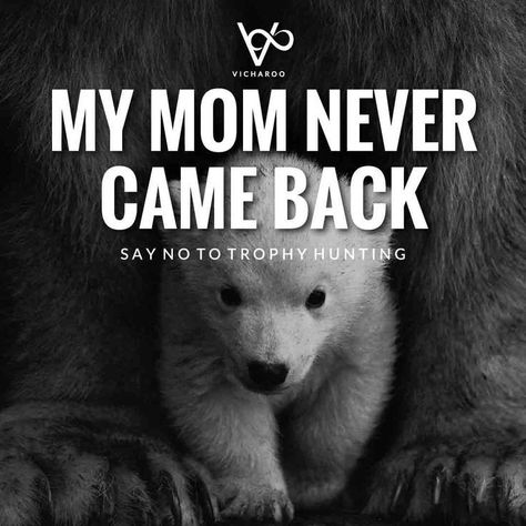 Anti Hunting Quotes Animal Rights, Animal Conservation Art, Animal Testing Art, Save Animals Quotes, Cruelty Quotes, Animal Cruelty Quotes, Animal Cruelty Art, Animal Kindness, Wildlife Quotes