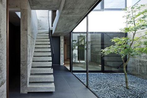 Courtyard & concrete Japanese Courtyard House, Japanese Courtyard, Concrete Exterior, Courtyard Design, Glass Walls, Patio Interior, Courtyard House, Alvar Aalto, Interior Garden