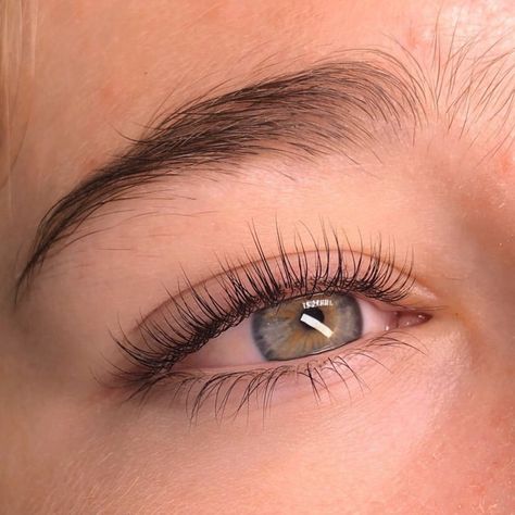 Keratin Lash Lift, Lash Curler, Cosmetic Procedures, Lash Lift, Book Your Appointment, Keratin, Little Things, Lashes, The Day