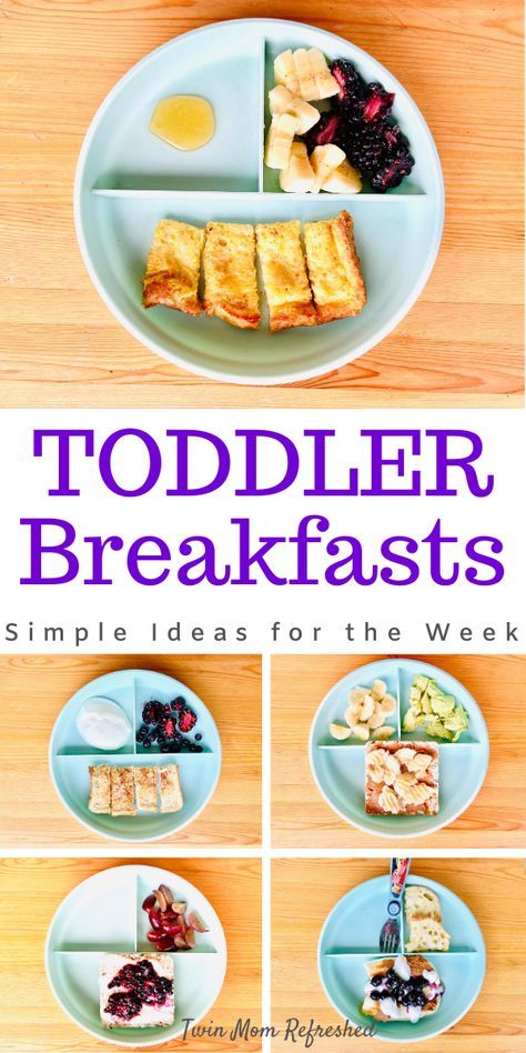 Easy Lunch Ideas For Toddlers, Quick Toddler Breakfast, Easy Breakfast Ideas For Toddlers, Healthy And Easy Lunch Ideas, Breakfast Meal Ideas, Breakfast Ideas For Toddlers, Toddler Breakfast Ideas, Healthy Toddler Breakfast, Toddler Picky Eater