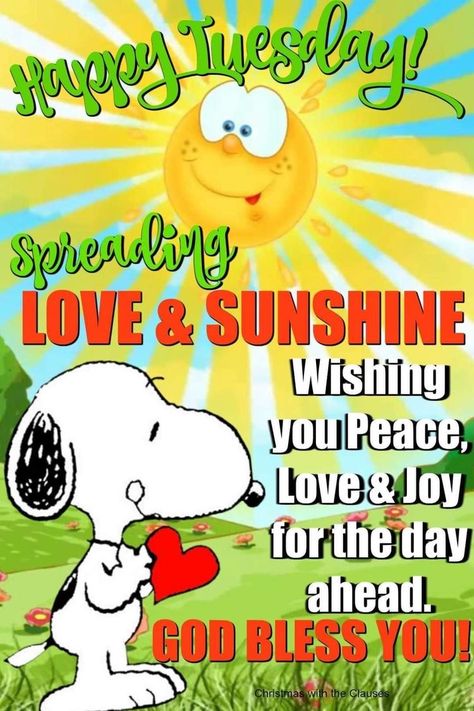 Tuesday Snoopy, Good Morning Tuesday Images, Happy Tuesday Morning, Cute Picture Quotes, Tuesday Quotes Good Morning, Tuesday Greetings, Good Morning Snoopy, Happy Tuesday Quotes, Happy Day Quotes