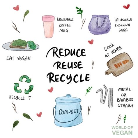 12 Easy Ways to Become A More Eco-Friendly Vegan Vegan Memes, Vegan Guide, Vegan Quotes, Food Scraps, Vegan Living, Plastic Items, Solid Shampoo, Plastic Packaging, Reuse Recycle