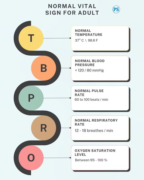 Normal vital signs for adult 🩺 . . #vital #medical #medicalstudent #medicalscrubs #education #medicaleducation #medicallife #adult #temperature #bloodpressure #pulserate #respiratoryrate #spo2 #physiotherapy #physiodiaries #physiolife #physioeducation #hospital #monitor Hospital Monitor, Normal Vital Signs, Radiology Student, Vital Signs, Normal Temperature, Medical Scrubs, Medical Education, Radiology, Medical Students