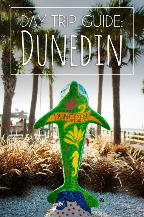 Dunedin Florida Things To Do, Madeira Beach Florida, Florida Travel Destinations, Dunedin Florida, Clearwater Beach Florida, Indian Shores, Florida Adventures, Florida Life, Madeira Beach