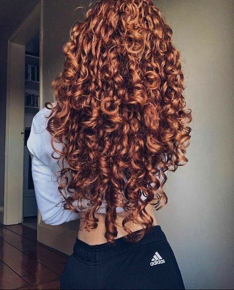 Dyed Curly Hair, Natural Red Hair, Red Curly Hair, Ginger Hair Color, Hair Things, Colored Curly Hair, Hair Color Auburn, Curly Hair Inspiration, Auburn Hair