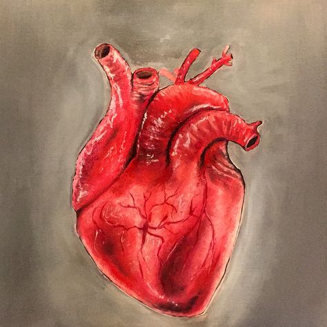 Heart oilpainting Human Heart Art, Heart Art Painting, Human Heart Drawing, Realistic Heart, Heart Sketch, Heart Drawing, Heart Painting, Anatomical Heart, Human Heart