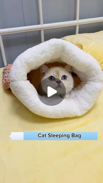 Cat Sleeping Bag Diy, Cat Snuggle Sack Diy, Cat Sleeping Bag Pattern, Diy Cat Sleeping Bag Pattern, Diy Sleeping Bag, Sleeping Bag Pattern, Chat Diy, Cat Cuddle, Cozy Wrap