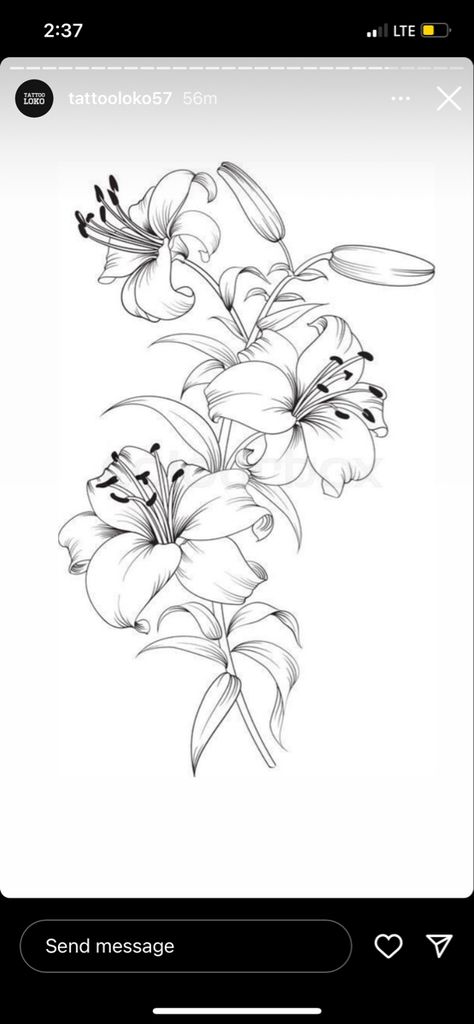 Lily Floral Tattoo Design, Lily Flower Tattoos Sleeve, Family First Tattoo, Water Lily Tattoos, Lily Flower Tattoos, Flower Line Drawings, Forearm Tattoo Women, Flower Art Drawing, Floral Tattoo Design