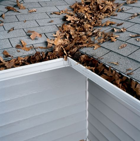 Your home's rain gutters are meant to divert excess water away from it, but if the gutters are clogged with debris the chances of flooding rise significantly.   Heavy rainfall and rain gutters filled with dirt and debris lead to a messy situation that can end up costing you a lot of money in repairs. It’s best to be proactive and regularly clean your gutters. #hometips #homeflooding Camel Quote, Gutter Guards, Gutter Repair, Heavy Rainfall, Gutter Cleaning, Gutter Guard, Leaf Blowers, Siding Colors, Rain Gutters