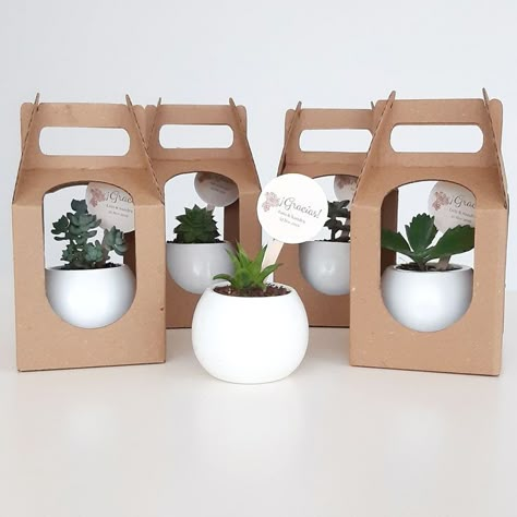 Plant Packaging Ideas, Cactus Packaging, Flower Shop Decor, Hamper Gift Basket, Paper Bag Design, Colorful Wedding Invitations, نباتات منزلية, Painted Pots Diy, Bridal Jewelry Vintage