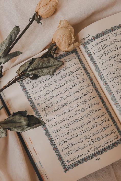 Quran Images, Al Qur'an Aesthetic, Qur'an Photography, Quran Book, Muslimah Aesthetic, Allah Islam, Islamic Wallpaper, Islam Quran, 2024 Vision Board