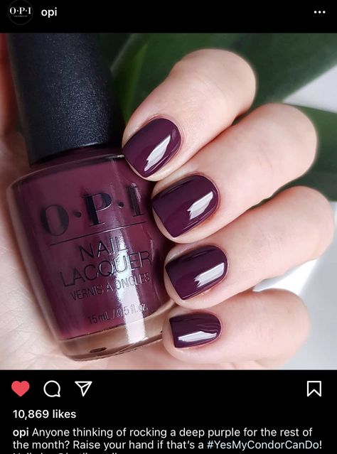 Opi Yes My Condor Can Do Gel, Opi Yes My Condor Can Do, Yes My Condor Can Do Opi, Dip Colors, Vibrant Nail Colors, Interview Nails, Reflective Nails, Opi Nail Colors, Colour Pallets