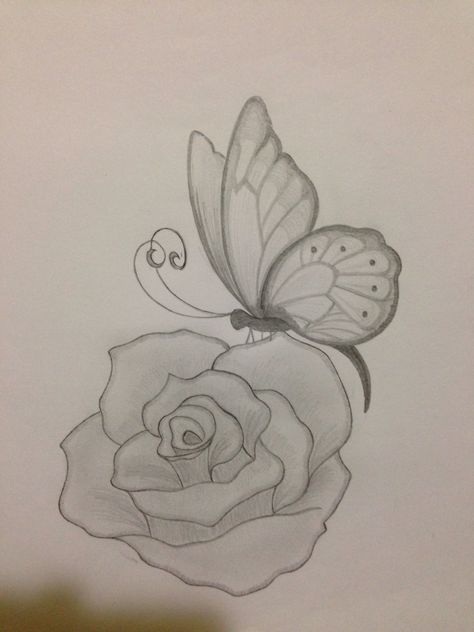 Butterfly and rose sketch Flower And Butterflies Drawing, Rose Butterfly Drawing, Butterflies And Roses Drawing, Butterfly Rose Drawing, Butterfly On Rose Drawing, Butterfly And Rose Drawing, Drawings With Butterflies, Side Butterfly Drawing, Butter Flying Drawing