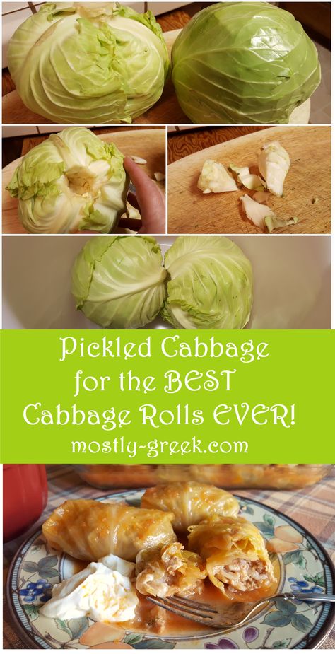 Pickled Cabbage Leaves, Sour Cabbage Leaves Recipe, Sour Cabbage Rolls, Sarmale Recipe, Chicken Ballotine, Fermenting Veggies, Romanian Dishes, Bosnian Food, Easy Organic Meals