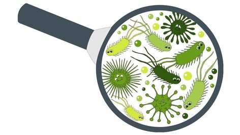 How long does it take for your gut bacteria to recover after antibiotics? Mind Your Own Business, Healthy Probiotics, Human Genome, Medical Background, Healthy Bacteria, Minding Your Own Business, Probiotics Supplement, Gut Bacteria, Diy Hair Care