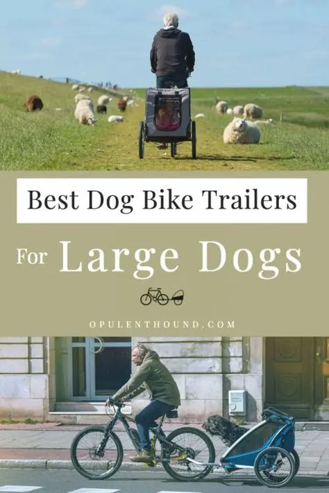 We've reviewed the best dog bike trailer for large dogs based on practicality, price, and quality. Our buyer's guide will help you find and buy the best large dog bike trailer and ultimately, the best ride for your hound.  #dogbiketrailer #largedogbiketrailer Dog Trailer For Bike, Dog Bike Carrier, Dog Trolley, Dog Car Travel, Dog Bike Basket, Paralyzed Dog, Road Trip With Dog, Dog Bike, Dog Bike Trailer