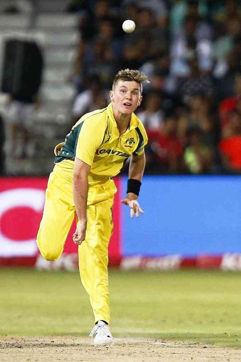 Adam Zampa, Cricket Players, World Cricket, Asia Cup, Virat Kohli, Cricket News, Sport Man, Net Worth, Actors