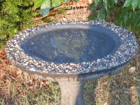 How to make a bird bath | Ignoring the bottom line, and being a Mom Make A Bird Bath, Cement Bird Bath, Plastic Bird Bath, Concrete Mix Design, Stone Bird Baths, Make A Bird, Bird Bath Bowl, Glass Bird Bath, Concrete Bird Bath