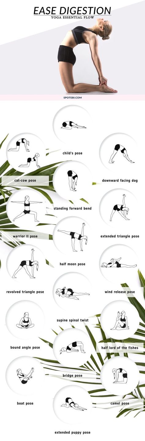 Boost digestion, relieve constipation and de-bloat with this 20-minute yoga essential flow. Pair these 17 yoga poses with deep breathing to massage the abdominal organs, increase circulation and get things moving! https://www.spotebi.com/yoga-sequences/ease-digestion/ Exercise To Reduce Stomach, Prenatal Yoga Poses, Yoga Diet, Yoga Ashtanga, Ashtanga Vinyasa Yoga, 20 Minute Yoga, Yoga Essentials, Yoga Posen, Yoga Iyengar