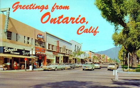 Euclid avenue, Ontario California Claremont California, Upland California, West Coast California, Ontario California, California Postcard, Water Irrigation, San Bernardino County, California History, Century City