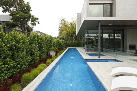 5 things to think about when designing a lap pool - Neptune Pools Swimming Pool Trends, Lap Pools Backyard, Lap Pool Designs, Lap Pools, Courtyard Pool, Lap Swimming, Sunken Living Room, Concrete Pool, Dream Pools